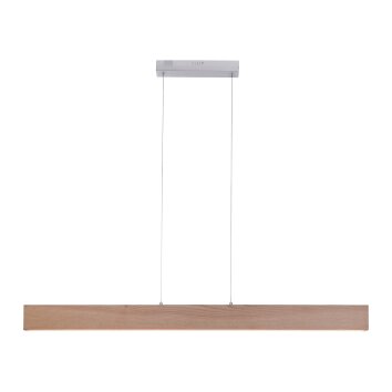 Suspension Paul Neuhaus Q-TIMBER LED Bois clair, 1 lumière, Télécommandes