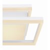 Plafonnier Globo SQUARES LED Blanc, 1 lumière