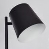 Lampadaire Tontolos LED Noir, 1 lumière