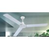 Ventilateur Globo FERRO Blanc