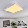 Plafonnier Buenaventura LED Blanc, 1 lumière, Télécommandes