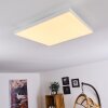 Plafonnier Cor LED Blanc, 1 lumière, Télécommandes