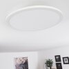 Plafonnier Ailik LED Blanc, 1 lumière, Télécommandes