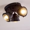 Plafonnier Glostrup LED Noir, 3 lumières