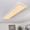 Plafonnier Salamo LED Blanc, 2 lumières, Télécommandes