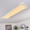 Plafonnier Salamo LED Blanc, 2 lumières, Télécommandes