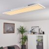 Plafonnier Salamo LED Blanc, 2 lumières, Télécommandes