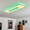 Plafonnier Turbalá LED Blanc, 1 lumière, Télécommandes, Changeur de couleurs