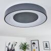 Plafonnier Casina LED Anthracite, Blanc, 1 lumière, Télécommandes