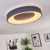 Plafonnier Casina LED Anthracite, Blanc, 1 lumière, Télécommandes