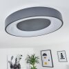 Plafonnier Casina LED Anthracite, Blanc, 1 lumière, Télécommandes