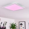 Plafonnier Gallitos LED Blanc, 1 lumière, Télécommandes, Changeur de couleurs