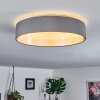 Plafonnier Elsa LED Blanc, 1 lumière