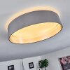 Plafonnier Elsa LED Blanc, 1 lumière