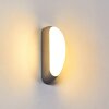 Applique murale d'extérieur Arvier LED Gris, 1 lumière