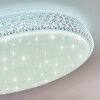 Plafonnier Suno LED Transparent, Blanc, 1 lumière, Télécommandes