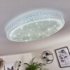 Plafonnier Suno LED Transparent, Blanc, 1 lumière, Télécommandes