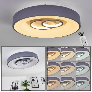 Plafonnier Gabbiana LED Gris, Blanc, 1 lumière, Télécommandes