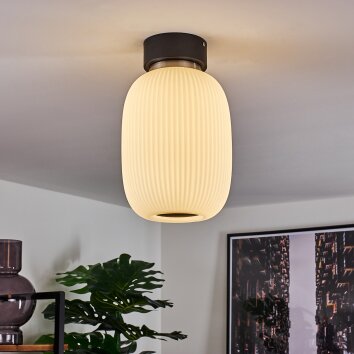 Plafonnier Sebep LED Noir, 1 lumière