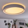 Plafonnier Beade LED Gris, Blanc, 1 lumière, Télécommandes, Changeur de couleurs