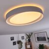 Plafonnier Beade LED Gris, Blanc, 1 lumière, Télécommandes, Changeur de couleurs