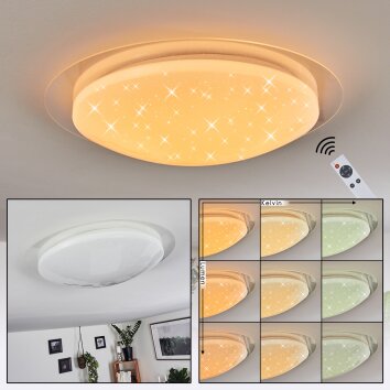 Plafonnier Rosenga LED Blanc, 1 lumière, Télécommandes