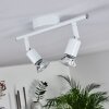 Plafonnier Planes LED Blanc, 2 lumières