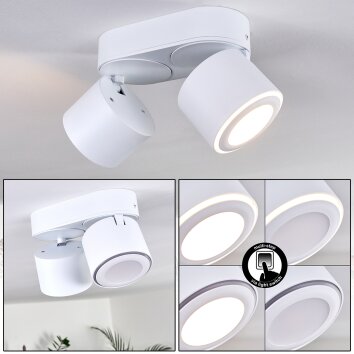 Plafonnier Appleton LED Blanc, 2 lumières