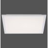 Panneau LED Leuchten Direkt FLAT Blanc, 2 lumières