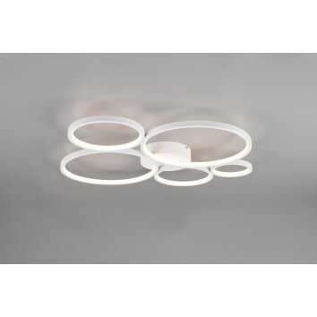 Plafonnier Trio Rondo LED Blanc, 1 lumière