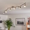 Plafonnier Oula LED Nickel mat, 6 lumières