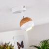 Plafonnier Kotaoa LED Blanc, 1 lumière