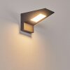 Applique murale d'extérieur Matlava LED Anthracite, Blanc, 1 lumière