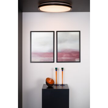 Plafonnier Lucide SILAS LED Noir, 1 lumière