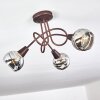 Plafonnier Warga LED Bronze, 3 lumières