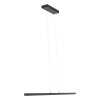 Suspension Steinhauer Light Stripe LED Noir, 1 lumière