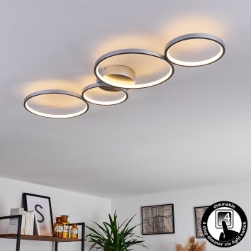 Plafonnier Rodekro LED Nickel mat, 1 lumière