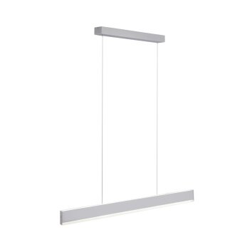 Suspension Paul Neuhaus ARINA LED Acier inoxydable, 2 lumières, Détecteur de mouvement