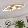 Plafonnier Batuna LED Nickel mat, 1 lumière