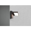 Applique murale d'extérieur Trio Horton LED Anthracite, 1 lumière