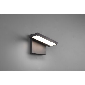 Applique murale d'extérieur Trio Horton LED Anthracite, 1 lumière