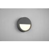 Applique murale d'extérieur Trio Pedro LED Anthracite, 1 lumière