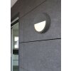 Applique murale d'extérieur Trio Pedro LED Anthracite, 1 lumière