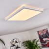 Panneau LED Boyero Blanc, 1 lumière