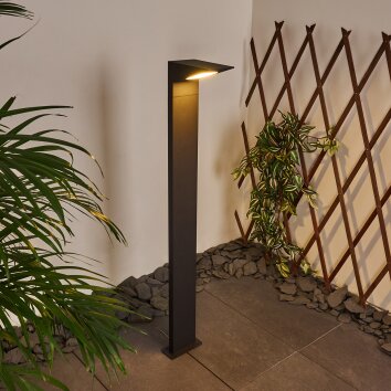 Borne lumineuse Matlava LED Anthracite, 1 lumière