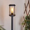 Borne lumineuse Riola Anthracite, 1 lumière