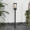 Borne lumineuse Riola Anthracite, 1 lumière