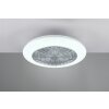 Ventilateur de plafond Reality Stralsund LED Titane, 2 lumières, Télécommandes