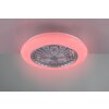 Ventilateur de plafond Reality Stralsund LED Titane, 2 lumières, Télécommandes