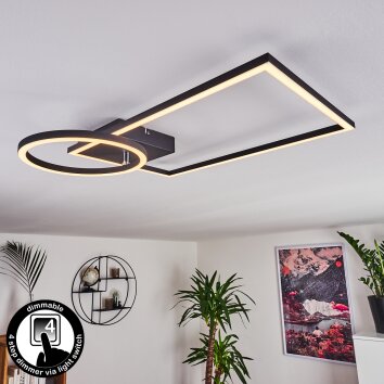 Plafonnier Moya LED Noir, 1 lumière